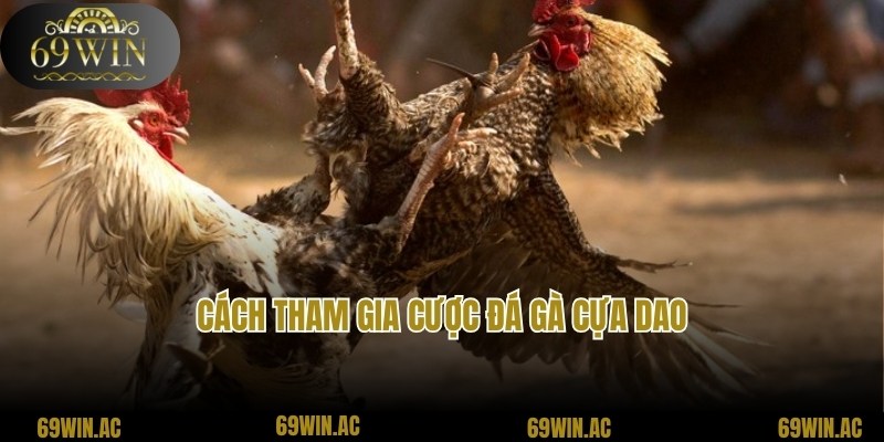 Tham gia cược đá gà cựa dao cực nhanh cùng 69win