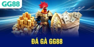 Ảnh đá gà gg88